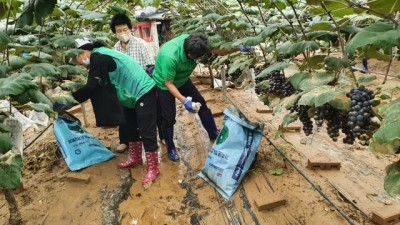 안산시 새마을회, 수해복구 봉사로 구슬땀