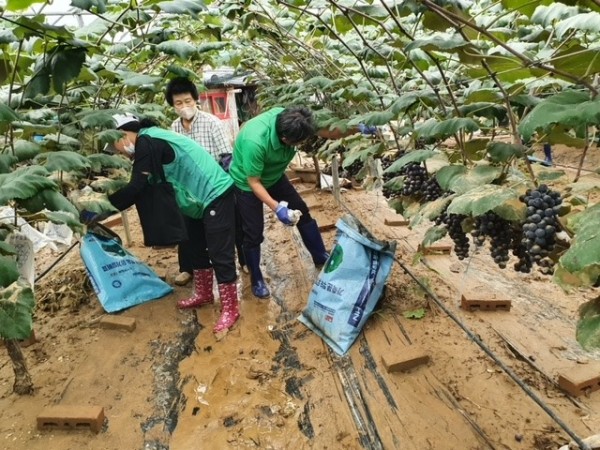 83.안산시 새마을회, 수해복구 봉사로 구슬땀 (2).JPG