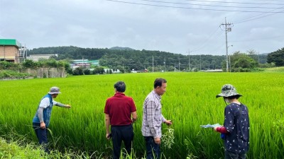 용인특례시, 고품질 백옥쌀 생산 위한 재배지 심사 시작