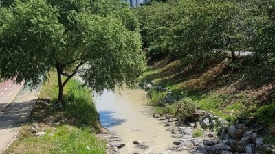 이상일 용인특례시장, 성복천 수질오염 행위, 고발 등 강력 조치할 것 지시