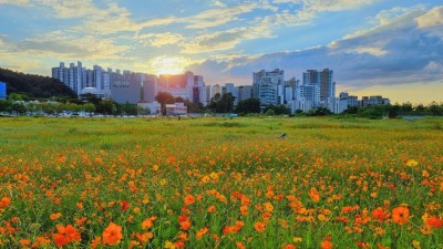 시흥시, 쾌적하고 아름다운 추석맞이 가로 경관 정비 총력