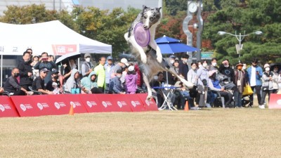 광명시, 첫 번째 반려동물 문화축제 성황리에 마무리