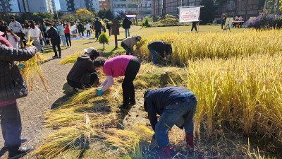 시흥시, 도시농부 가을걷이 체험교육 22일 개최