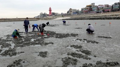 오이도 어촌체험휴양마을 ‘1등급’선정... 오이도 어촌관광 활성화 기대