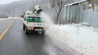 도, 설 연휴 방역특별관리기간 지정. 조류인플루엔자, 아프리카돼지열병 차단방역에 총력