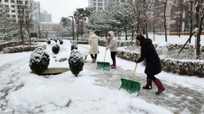 시흥시, 대설 총력 대응... 제설작업 힘써