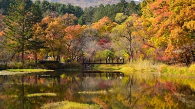 도, 올해 산림휴양시설 38개 소 조성·보완, 숲 가꾸기·조림 8,322ha로 탄소 저감