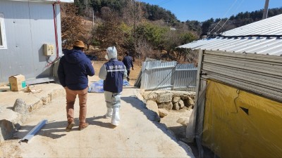 경기도 동물위생시험소 환절기 맞아 돼지유행성설사 차단방역 당부