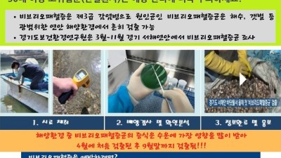 경기도, 3~11월 서해에서 비브리오패혈증균 감시