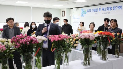 경기도농업기술원, 장미 ‘아리엘’ 등 육성품종 평가회 열어