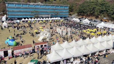 벚꽃 흩날리는 경기도청 봄꽃축제 성황리에 마무리…8만 관람객 문화공연 향유