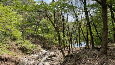 수지구, 수해 입은 ‘광교산 등산로 1km’ 복구 완료