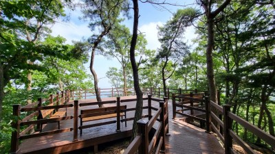 용인특례시, 가실벚꽃 품은 ‘향수산’ 숲길 2km 정비