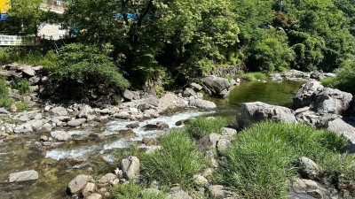 경기도보건환경연구원, 백운계곡 등 4곳 수질조사 실시