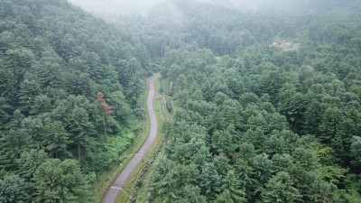 경기도, 숲가꾸기·등산로 정비 등 산림사업에 올해 1,333억 투입. 탄소중립에 기여