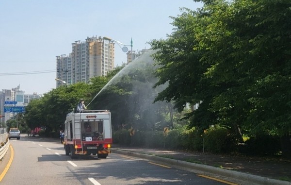 (광명1-1)광명시가 관내 일명 러브버그(붉은등우단털파리) 발생에 따라 즉각적인 방재에 나섰다.JPG