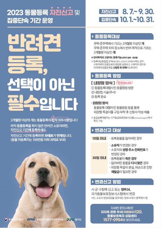 화면 캡처 2023-08-08 145627.png