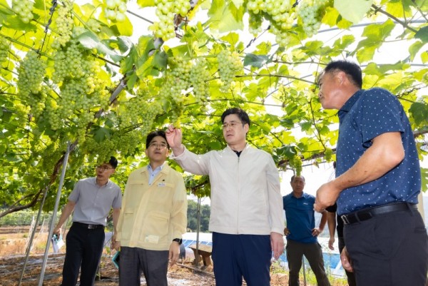 오병권+부지사，+안산+포도+농가+찾아+폭염+대응+상황+점검_1.jpg