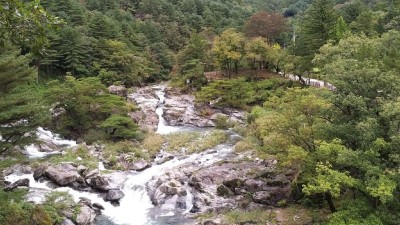 연인산 명품 계곡길, 산림청 선정. 걷기 좋은 명품숲길 전국 1위