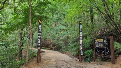 용인특례시, 법화산에 맨발 산책길…나도‘어싱’해볼까