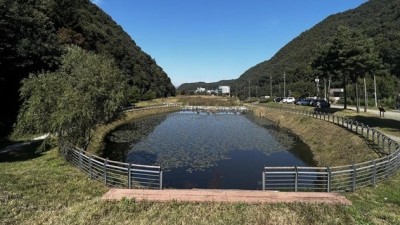 용인특례시 호동 ‘길업습지’ 생태계 복원, 경기도 지원 대상 선정