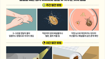 부천시, 빈대 전담 상담 창구 운영한다…시민 불안감 해소