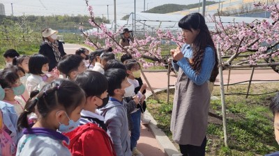 수원시 과수공원 산책하고, 다채로운 체험 하세요!
