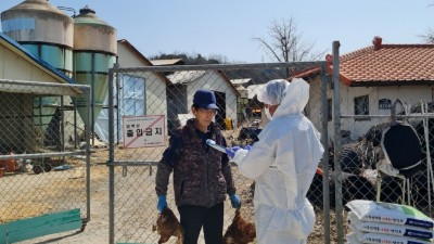 경기도, 가축 전염병 차단에 퇴직 가축방역관 7명 투입. 사회공헌사업 추진