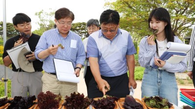 경기도농기원, 국립원예특작과학원과 상추 지역적응시험 봄작형 현장평가 공동 실시