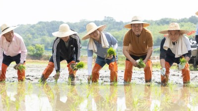 김동연, 여주 모내기 현장 방문. 농업인 격려