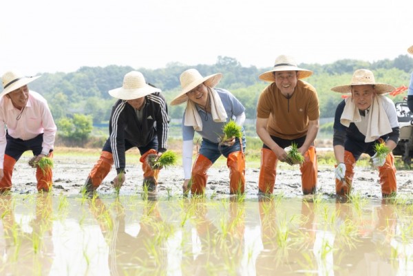 2024년+경기미+모내기+행사(1).jpg