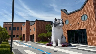 경기도, 고양이 입양센터 개관 1개월 동안 12마리 입양 시켜