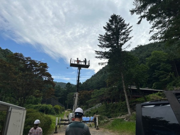 제출사진.jpg