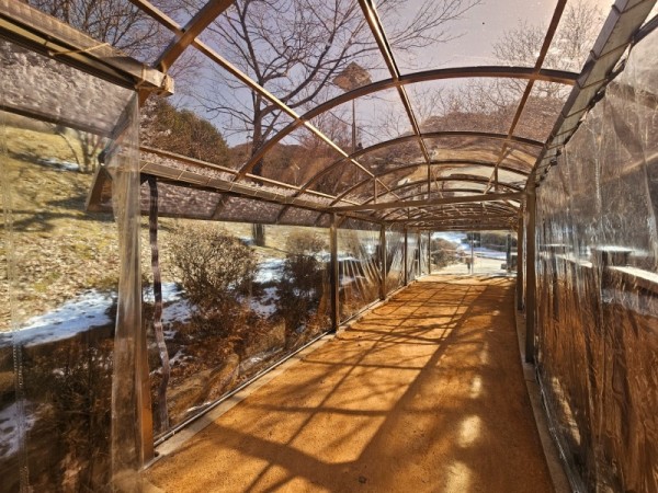 병목안시민공원 맨발산책길에 설치한 지붕 캐노피와 방한 비닐막 사진1.jpg