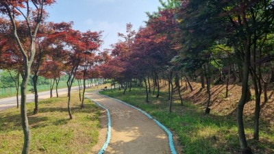 경기도, 올해 427억 투입해 도시숲 37만5천㎡ 조성