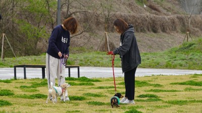 경기도, 4월부터 ‘반려마루 화성’ 동물 교감 활동 프로그램 시작