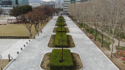평촌중앙공원 새단장…포장 정비 마치고 봄꽃 ‘활짝’