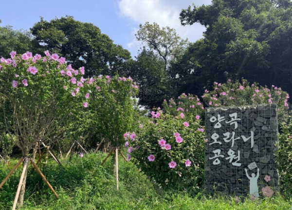 무궁화동산_2.png