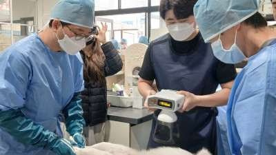 경기도, 상반기 민간시설 보호동물 717마리에 ‘찾아가는 진료 지원’ 완료