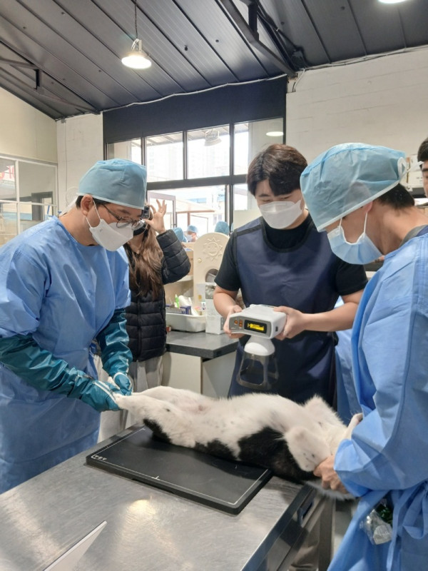 찾아가는 동물보호시설 진료활동 지원 (1).jpg